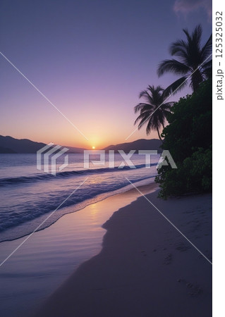 夜明けのビーチ 125325032