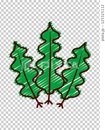 手書き風ワカメのカラーイラスト 125325112