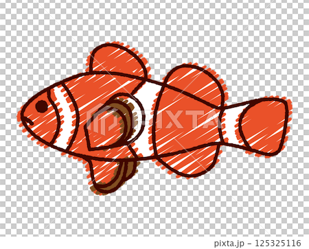 手書き風クマノミのカラーイラスト 手書き風クマノミのカラーイラスト 125325116