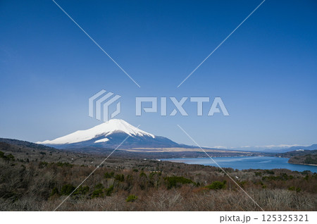 山梨県パノラマ台からの山中湖と富士山 125325321