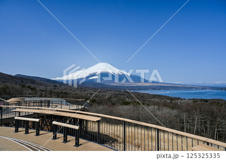 山梨県パノラマ台からの山中湖と富士山 山梨県パノラマ台からの山中湖と富士山 125325335