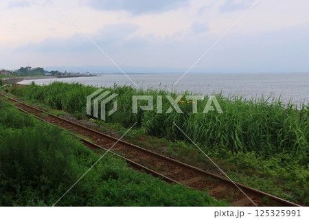 JR北海道、函館本線の森駅から八雲駅までの普通列車車窓風景(2023年夏曇り空) 125325991