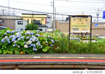JR北海道、函館本線の森駅から八雲駅までの普通列車車窓風景(2023年夏曇り空) 125326020