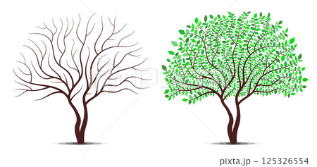 Tree with green leaves and without leaves. Detailed leaves vector. 125326554