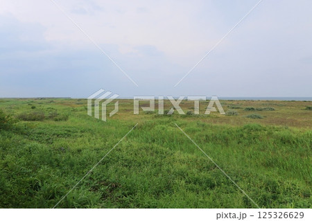 JR北海道、函館本線の八雲駅から長万部駅までの普通列車車窓風景(2023年夏曇り空) JR北海道、函館本線の八雲駅から長万部駅までの普通列車車窓風景(2023年夏曇り空) 125326629