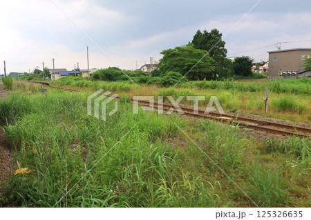 JR北海道、函館本線の八雲駅から長万部駅までの普通列車車窓風景(2023年夏曇り空) 125326635
