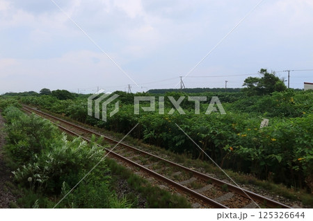 JR北海道、函館本線の八雲駅から長万部駅までの普通列車車窓風景(2023年夏曇り空) JR北海道、函館本線の八雲駅から長万部駅までの普通列車車窓風景(2023年夏曇り空) 125326644