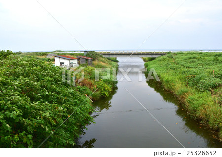 JR北海道、函館本線の八雲駅から長万部駅までの普通列車車窓風景(2023年夏曇り空) 125326652