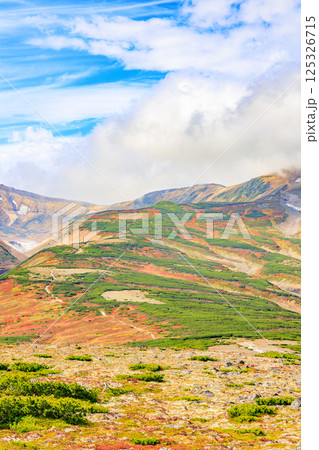 自然が描く色彩のパレット 自然が描く色彩のパレット 125326715