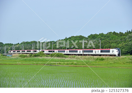 総武本線 佐倉-物井 JR東日本 E259系 Ne008編成(鎌倉) 成田エクスプレス NEX 総武本線 佐倉-物井 JR東日本 E259系 Ne008編成(鎌倉) 成田エクスプレス NEX 125327376