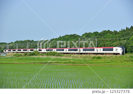 総武本線　佐倉－物井　JR東日本　E259系　Ne019編成（鎌倉）　成田エクスプレス　NEX 125327378
