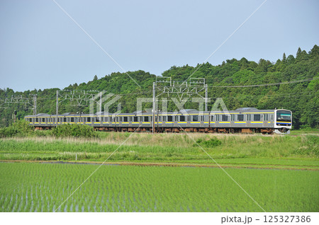 総武本線 佐倉-物井 JR東日本 209系 C601(幕張) 総武本線 佐倉-物井 JR東日本 209系 C601(幕張) 125327386