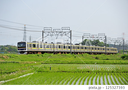 総武本線 物井-佐倉 JR東日本 209系 C603編成(幕張) 総武本線 物井-佐倉 JR東日本 209系 C603編成(幕張) 125327393