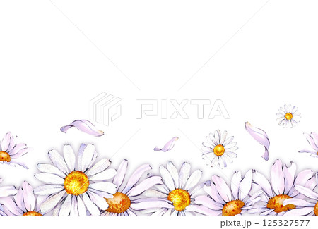 A border of watercolor white daisies. Botanical illustration. A border of watercolor white daisies. Botanical illustration. 125327577