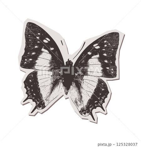Butterfly isolated torn put paper sticker in stippling halftone collage style. Pop art illustration. Vector png. Butterfly isolated torn put paper sticker in stippling halftone collage style. Pop art illustration. Vector png. 125328037