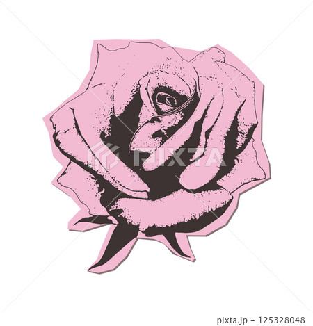 A rose torn out paper sticker with a retro photocopy effect. Stippling technique. Grungy Texture. Vector illustration. 125328048