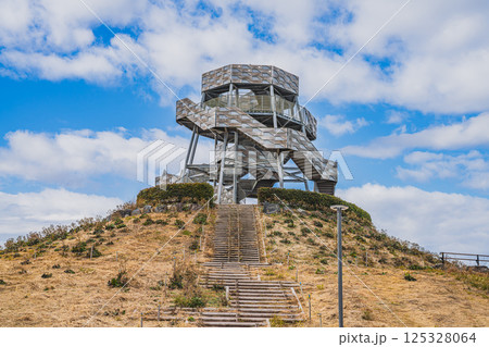 富士市のふじのくに田子の浦みなと公園の富士山ドラゴンタワーの風景(静岡県) 125328064