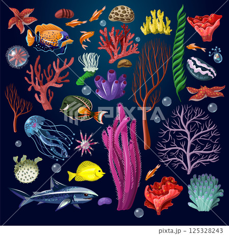 Marine inhabitans and herb isolated. 125328243