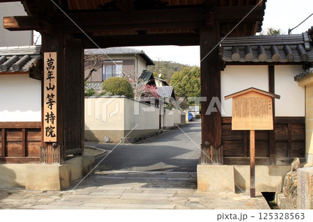 等持院 等持院 125328563