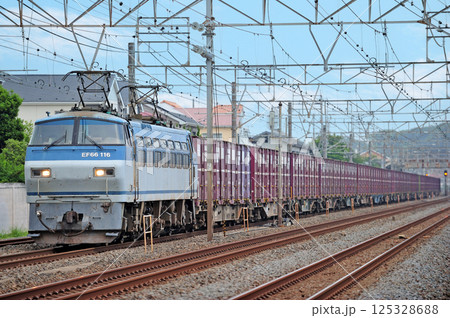 東海道本線 大磯-二宮 JR貨物 EF66-116(吹田) 東海道本線 大磯-二宮 JR貨物 EF66-116(吹田) 125328688