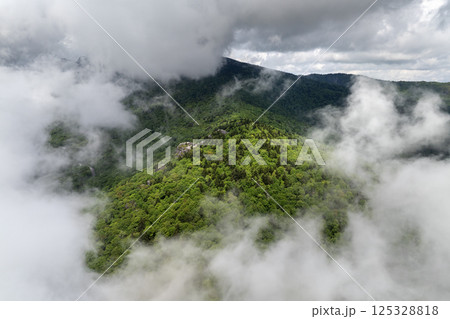 Mountain forest with green canopies in humid summertime season. North Carolina wild woods nature in summer 125328818