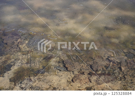 spring lake with cracked ice and partly frozen water in the forest. Sunny day with blue sky. season change, danger 125328884