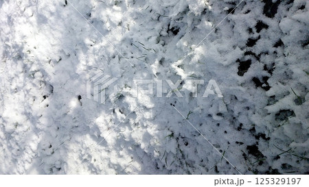 Snow covers green grass in spring, creating a unique landscape during the changing season 125329197