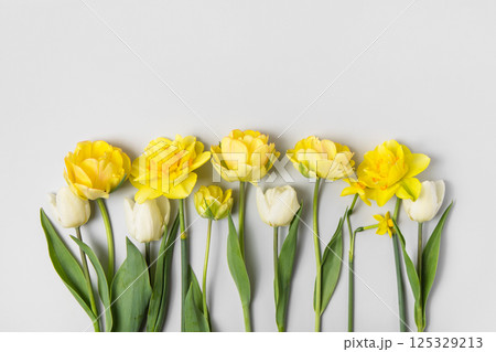 Spring composition on gray background of flowers of white tulips and yellow daffodils with place for text. Happy Mother's Day greeting card, happy Valentine's Day, 8 March, happy birthday Spring composition on gray background of flowers of white tulips and yellow daffodils with place for text. Happy Mother's Day greeting card, happy Valentine's Day, 8 March, happy birthday 125329213