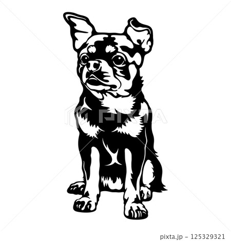 Chihuahua Dog Breed - Pet Vector Cut file, Dog Silhouette Stencil - Cricut file 125329321