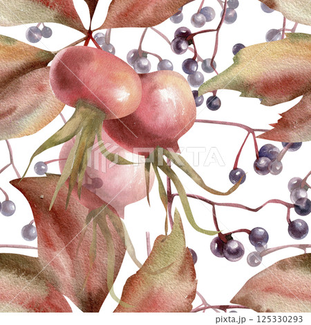 Autumn red hip berries, wild grapes red leaves and berries watercolor seamless pattern. Hand drawn fall seasonal background with floral elements for packing,fabric, scrapbooking design 125330293