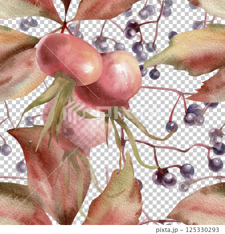 Autumn red hip berries, wild grapes red leaves and berries watercolor seamless pattern. Hand drawn fall seasonal background with floral elements for packing,fabric, scrapbooking design 125330293