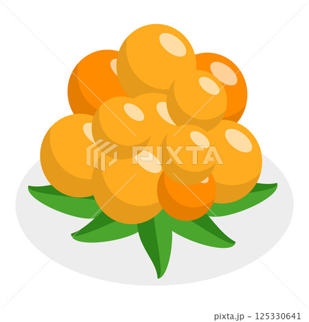 3D Isometric Flat Vector Set of Berries. Item 9 125330641