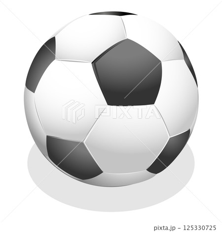 3D Isometric Flat  Set of Equipment For Sport Team Fans. Item 14 125330725