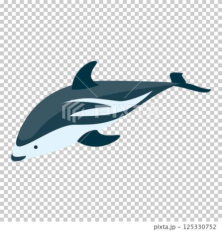 3D Isometric Flat  Set of Types Of Dolphins. Item 3 125330752