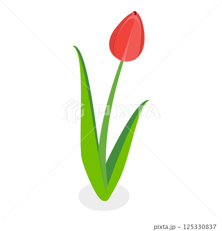 3D Isometric Flat  Illustration of Flowers Collection. Item 9 3D Isometric Flat  Illustration of Flowers Collection. Item 9 125330837