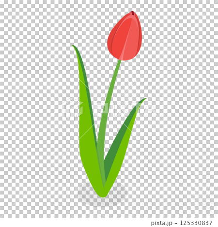 3D Isometric Flat  Illustration of Flowers Collection. Item 9 3D Isometric Flat  Illustration of Flowers Collection. Item 9 125330837