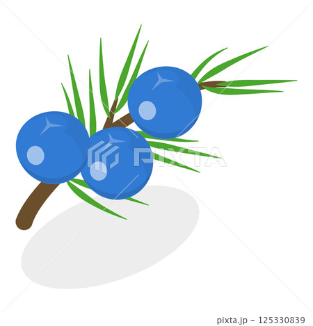 3D Isometric Flat Set of Berries. Item 5 3D Isometric Flat Set of Berries. Item 5 125330839
