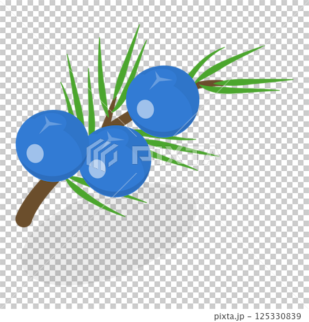 3D Isometric Flat  Set of Berries. Item 5 125330839