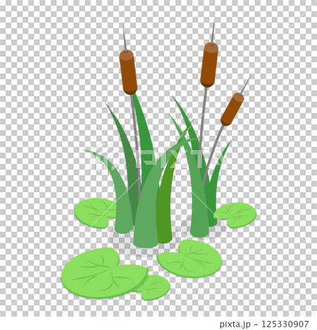 3D Isometric Flat Set of Lake Aquatic Plants. Item 2 3D Isometric Flat Set of Lake Aquatic Plants. Item 2 125330907