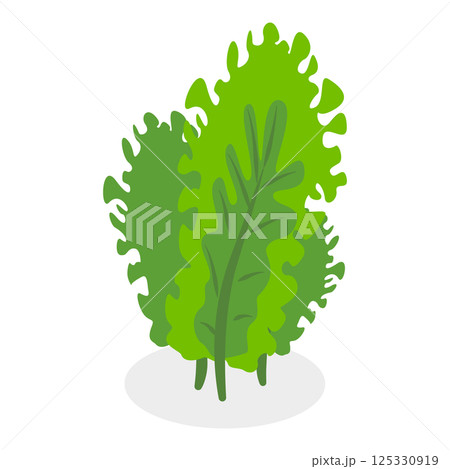 3D Isometric Flat  Set of Seaweeds. Item 1 125330919