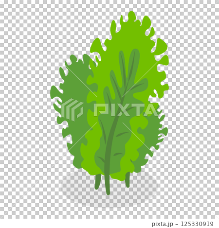 3D Isometric Flat  Set of Seaweeds. Item 1 125330919