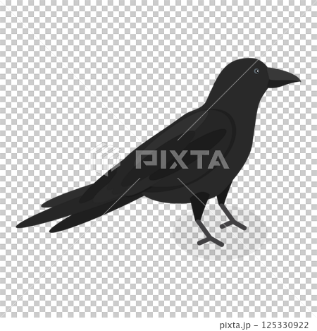 3D Isometric Flat  Set of City Birds. Item 3 125330922