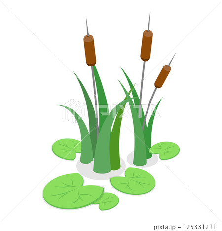 3D Isometric Flat Vector Set of Lake Aquatic...のイラスト素材 [125331211] - PIXTA