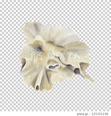 Sinularia dura neon green . Leather coral. Marine plant. Beautiful coral. Underwater world. Animal on the reefs. Watercolor illustration without background. Hand drawing. For aquarium and oceanarium. 125331236