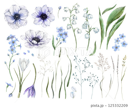 Crocus, anemone, forget-me-not, lily of the valley and green leaves, wild plants, herbs. Set of watercolor isolated illustrations, for spring designs, wedding invitations, cards, branding, packaging. Crocus, anemone, forget-me-not, lily of the valley and green leaves, wild plants, herbs. Set of watercolor isolated illustrations, for spring designs, wedding invitations, cards, branding, packaging. 125332209