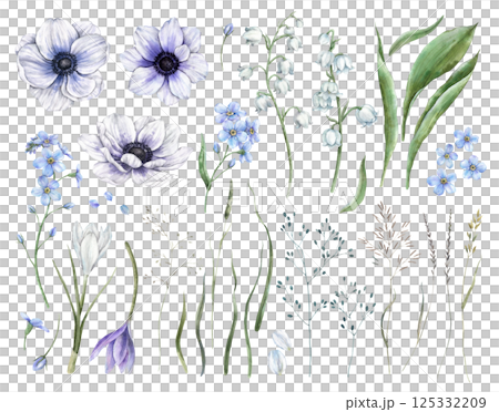Crocus, anemone, forget-me-not, lily of the valley and green leaves, wild plants, herbs. Set of watercolor isolated illustrations, for spring designs, wedding invitations, cards, branding, packaging. Crocus, anemone, forget-me-not, lily of the valley and green leaves, wild plants, herbs. Set of watercolor isolated illustrations, for spring designs, wedding invitations, cards, branding, packaging. 125332209