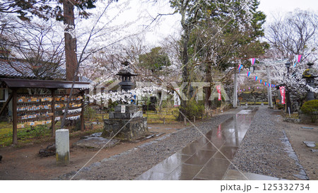 信州小諸城址(懐古園)の桜 信州小諸城址(懐古園)の桜 125332734