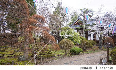 信州小諸城址(懐古園)の桜 信州小諸城址(懐古園)の桜 125332736