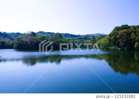 池 池 125332892