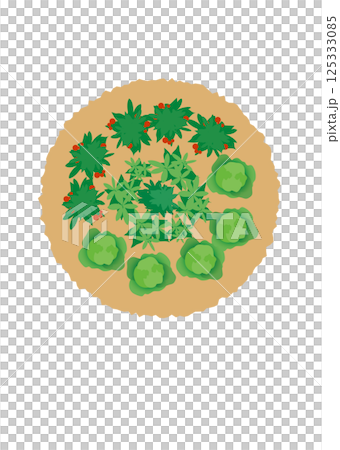 畑を上から見たおしゃれなイラスト 125333085